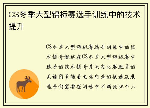 CS冬季大型锦标赛选手训练中的技术提升