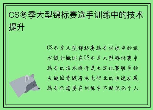 CS冬季大型锦标赛选手训练中的技术提升